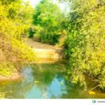 गावामध्ये जलसंधारणाची कामे-2