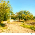 स्मशानभूमी_22